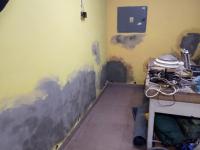 IMG_20240127_103729 (1024x768).jpg